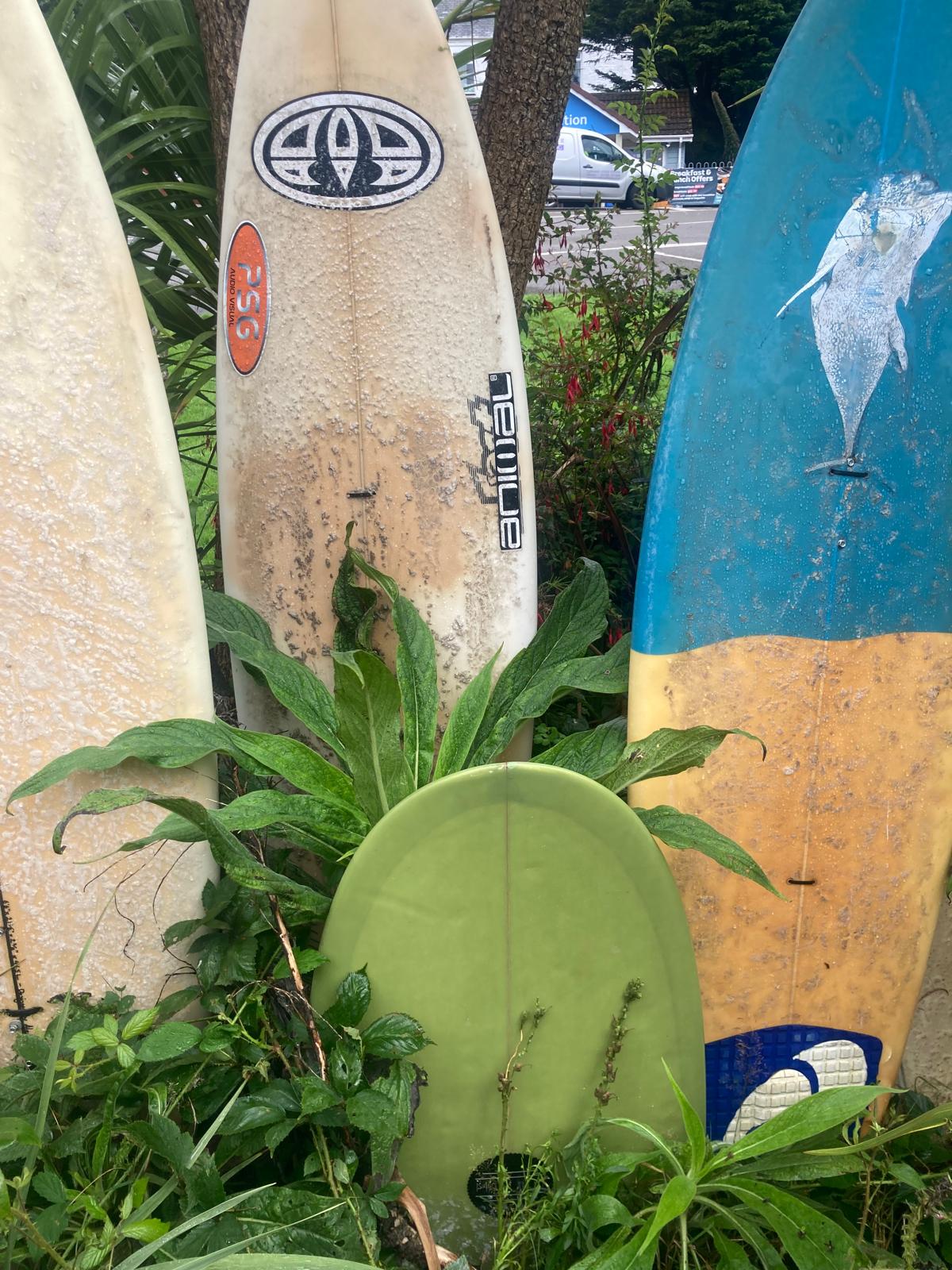 Jenny Short's avatar